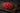 80/20 Ground Beef
